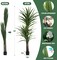 Dracaena Silk Plant Corn Stalk 6ft Tall Faux Plants Indoor Large Fake Plants Potted Yucca Tree Tropical Floor Plants Artificial Silk Palm Trees for Home Office Store Decor Housewarming Gift